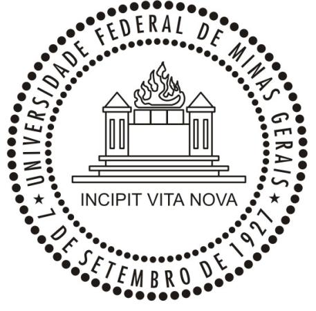 Education and Tourism: “TI em Museus de Alta Complexidade: MM Gerdau como estudo de caso”, Financed by Universidade Federal de Minas Gerais and Associação Mantenedora do Museu das Minas e do Metal.