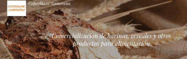 Coperblanc Zamorana S.A.